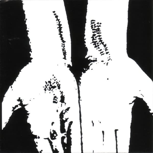 Collection 2005-2007