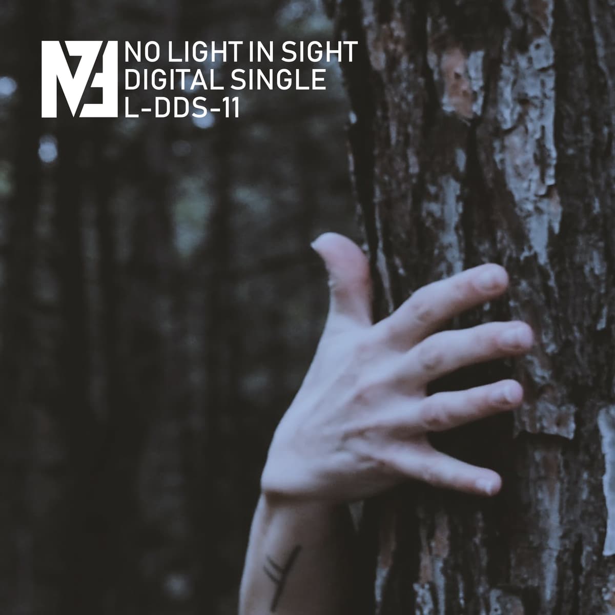 No Light in Sight