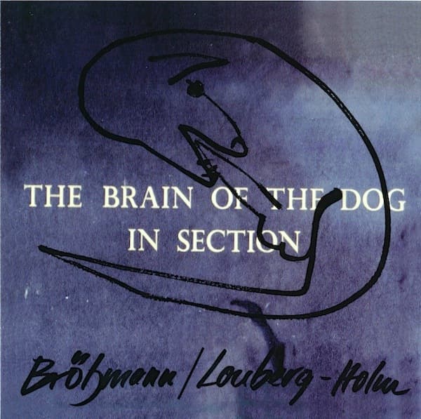 The Brain of the Dog in Section
