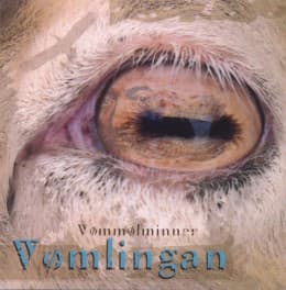 Vømmølminner