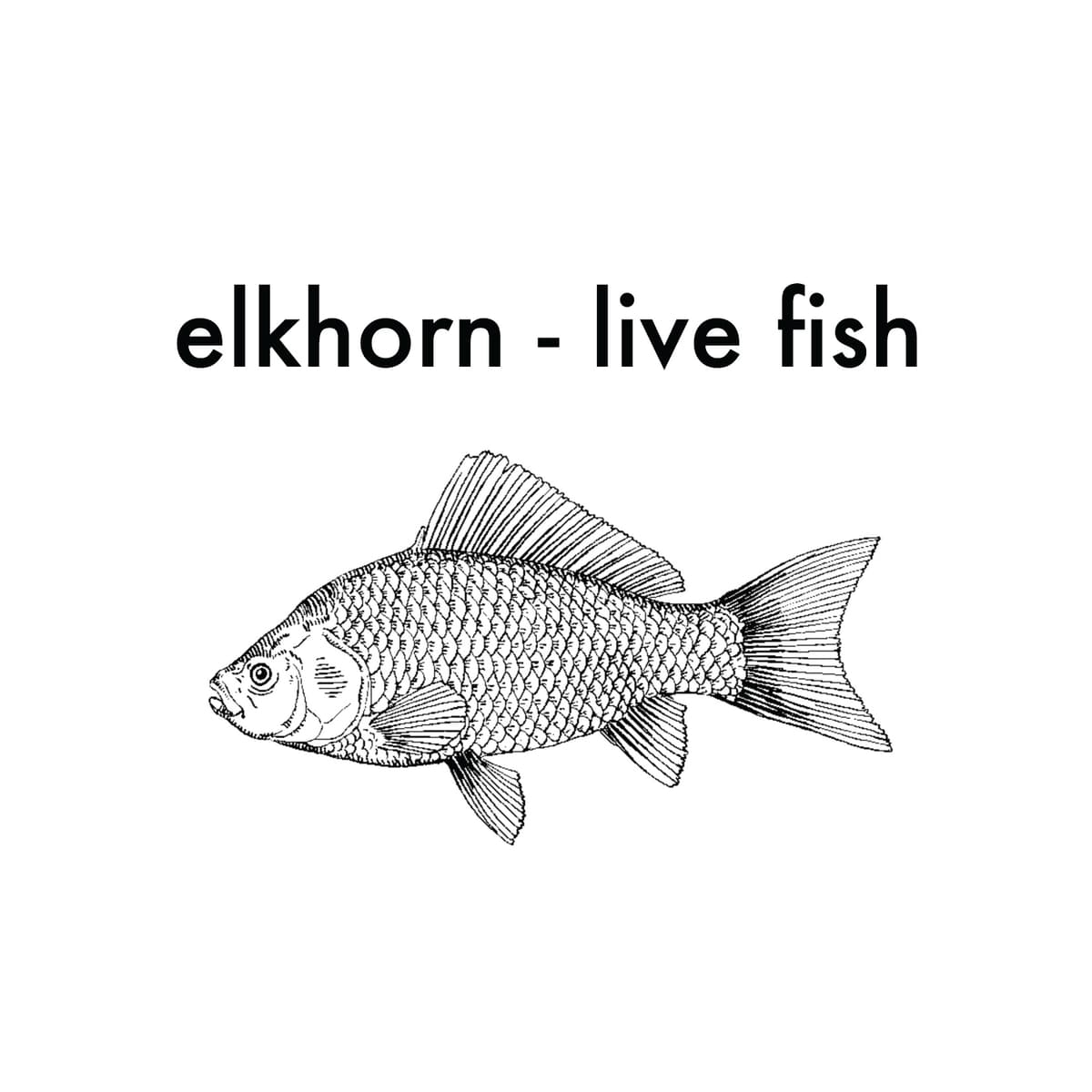 Live Fish