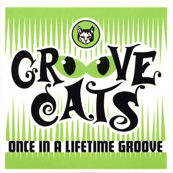 Once in a Lifetime Groove