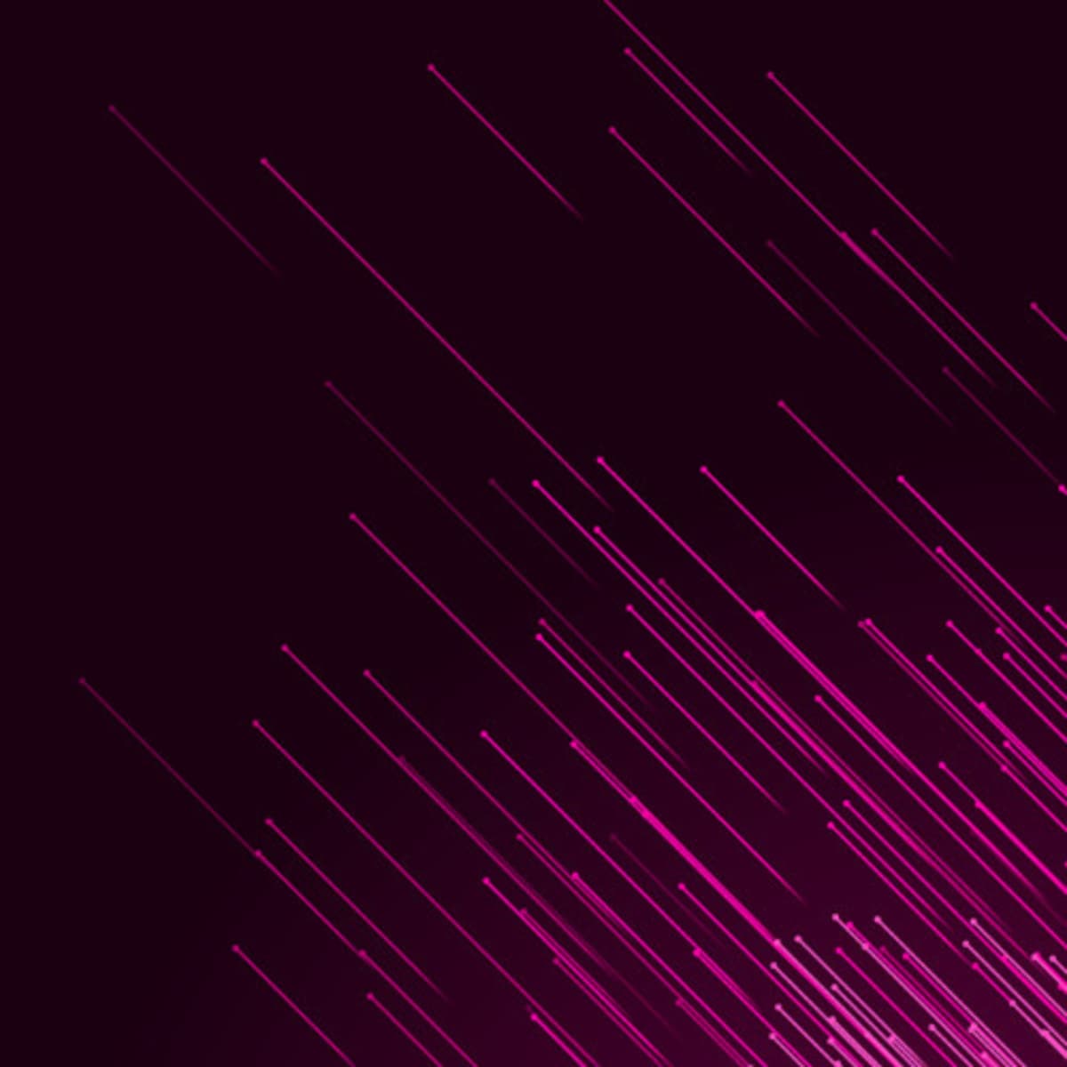 Sektor