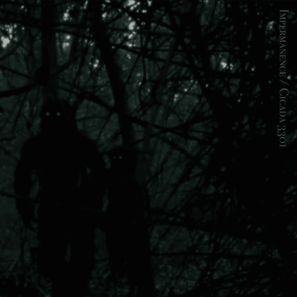 Impermanence / Cicada 3301