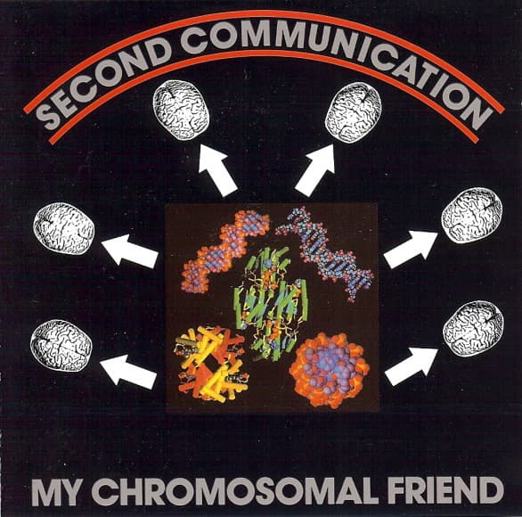 My Chromosomal Friend