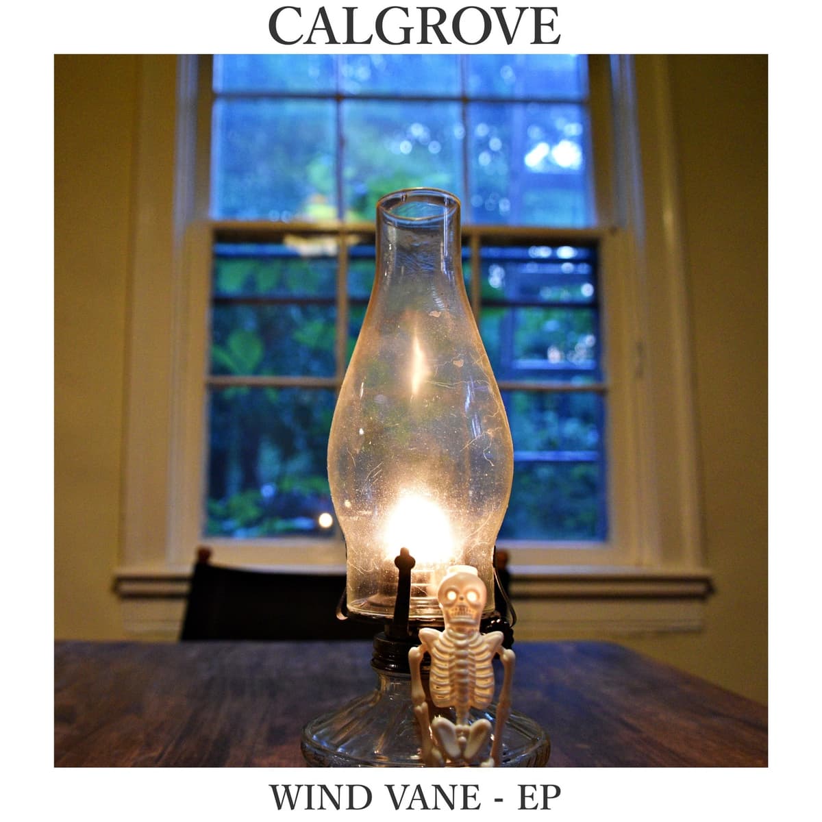 Wind Vane
