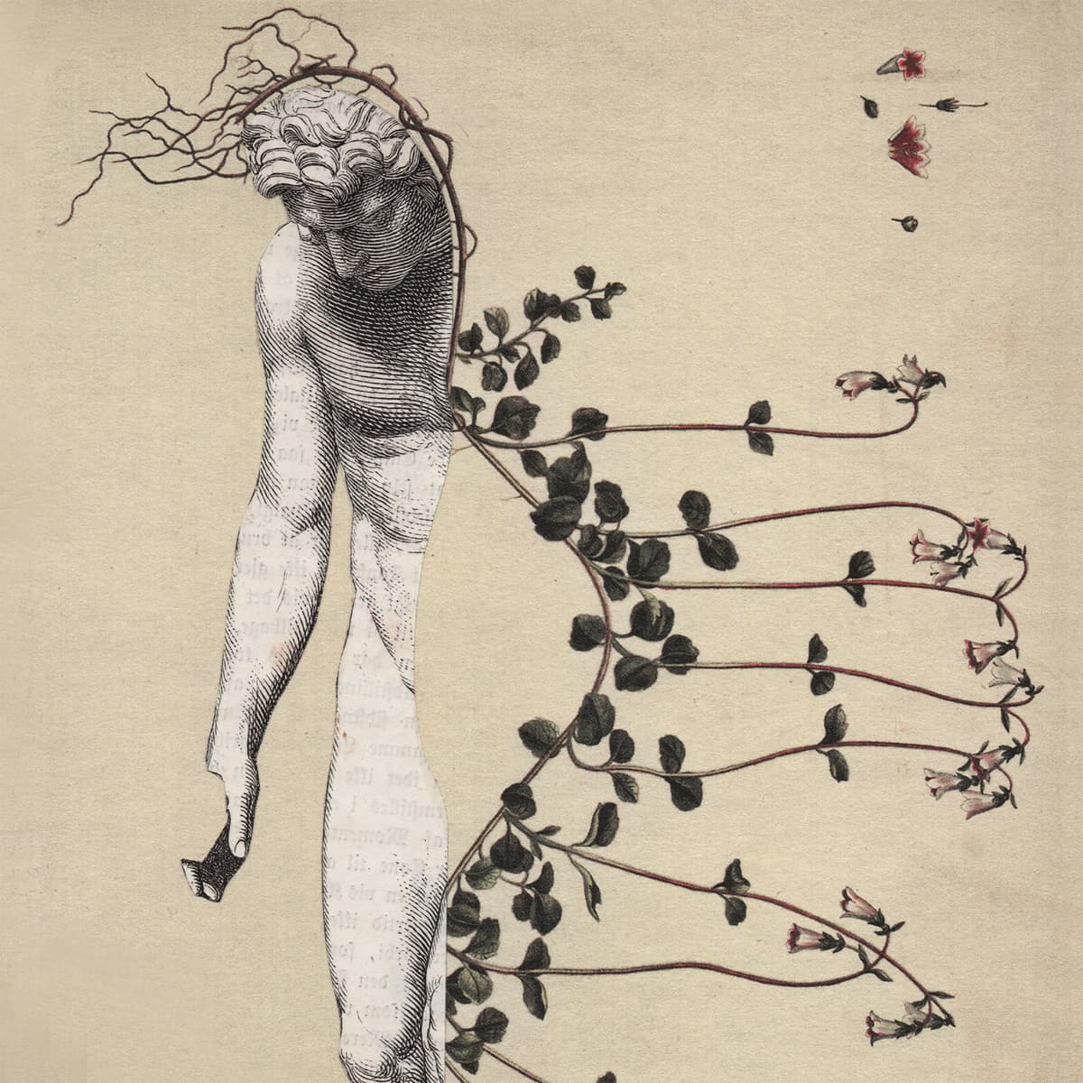 Stigma