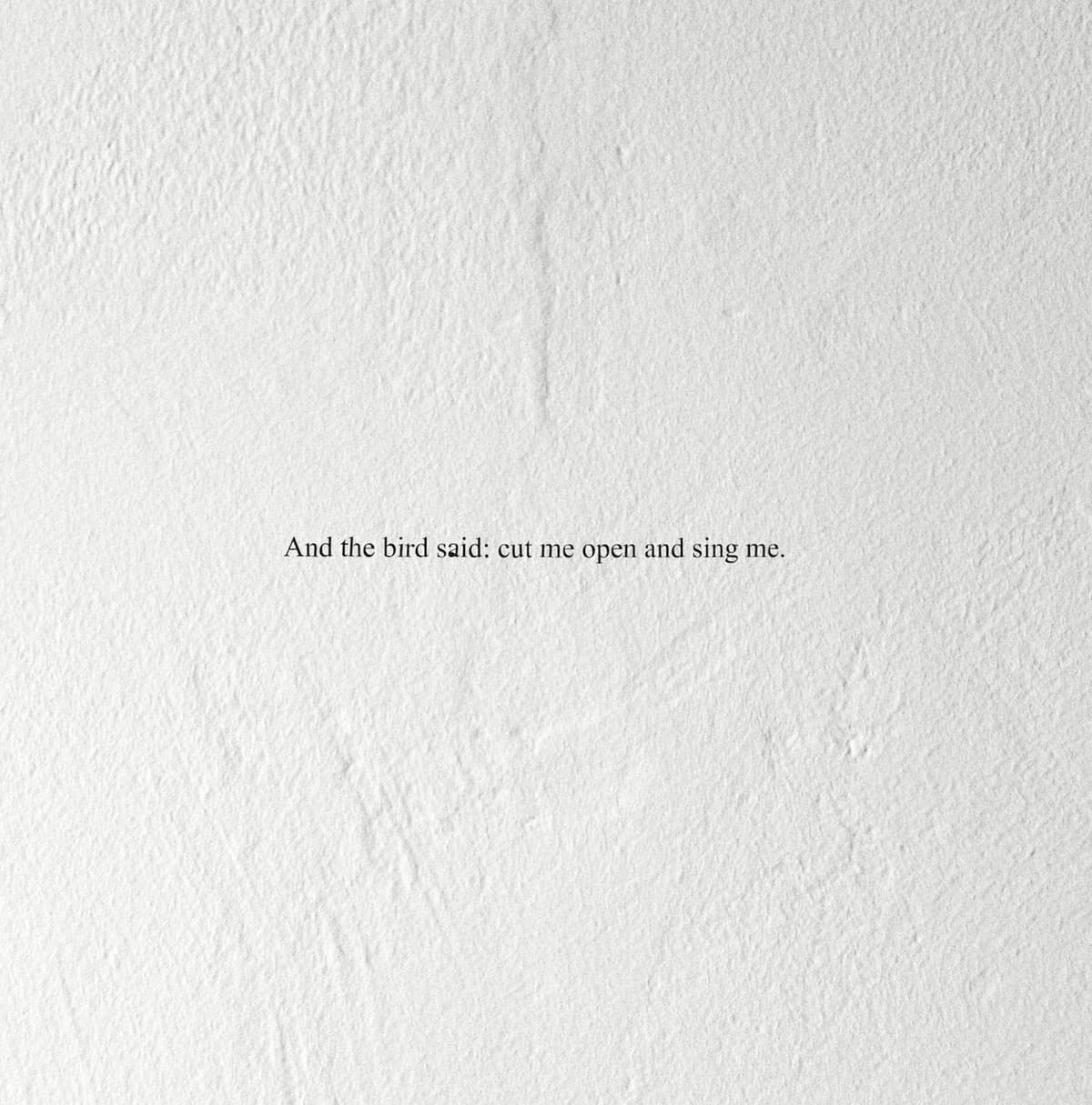And the Bird Said: Cut Me Open and Sing Me