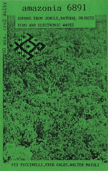Amazonia 6891: Sounds From Jungle, Natural Objects, Echo and Electronic Waves