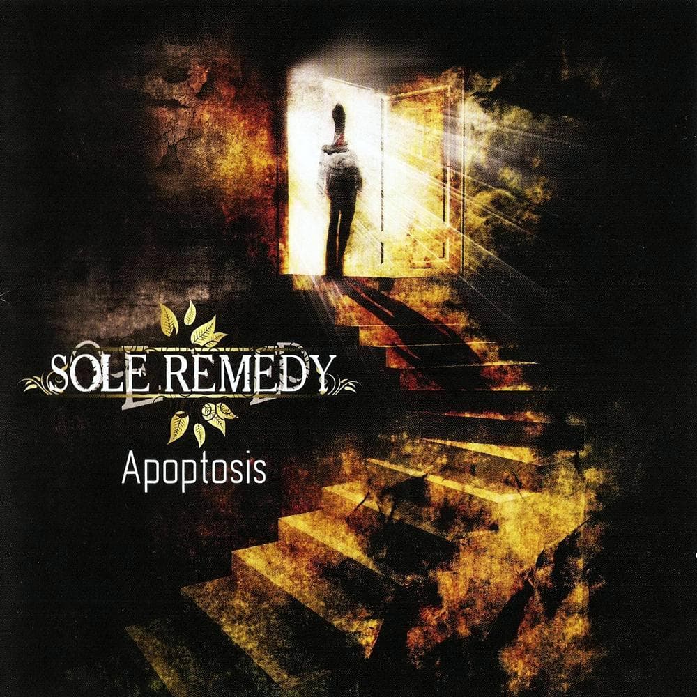 Apoptosis