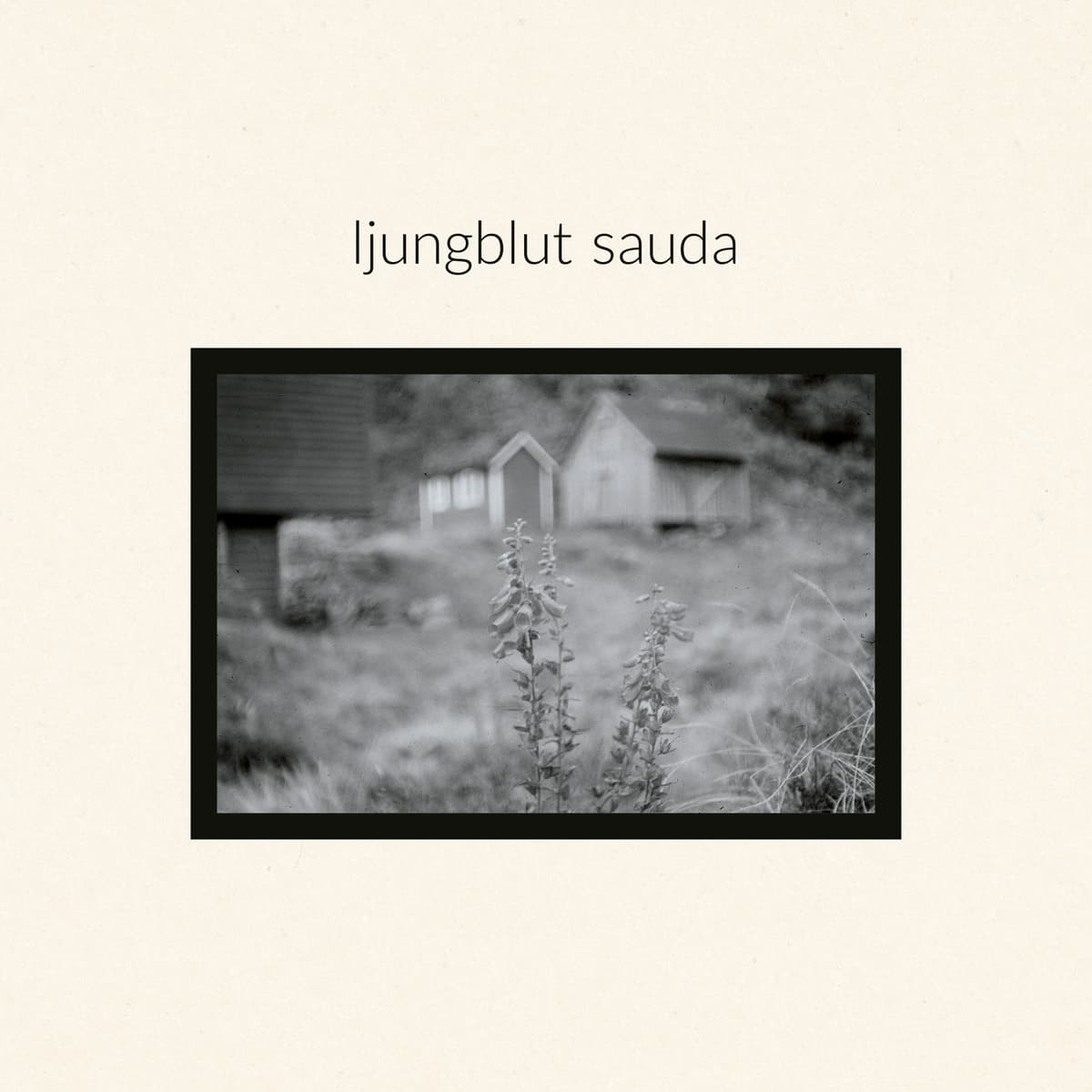 Sauda