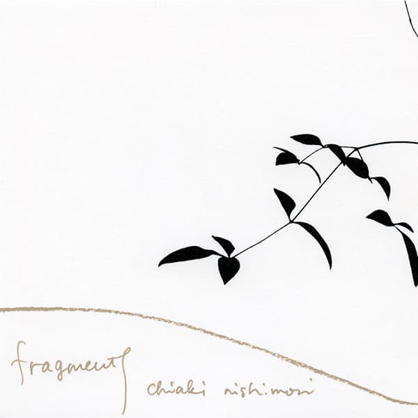 fragments