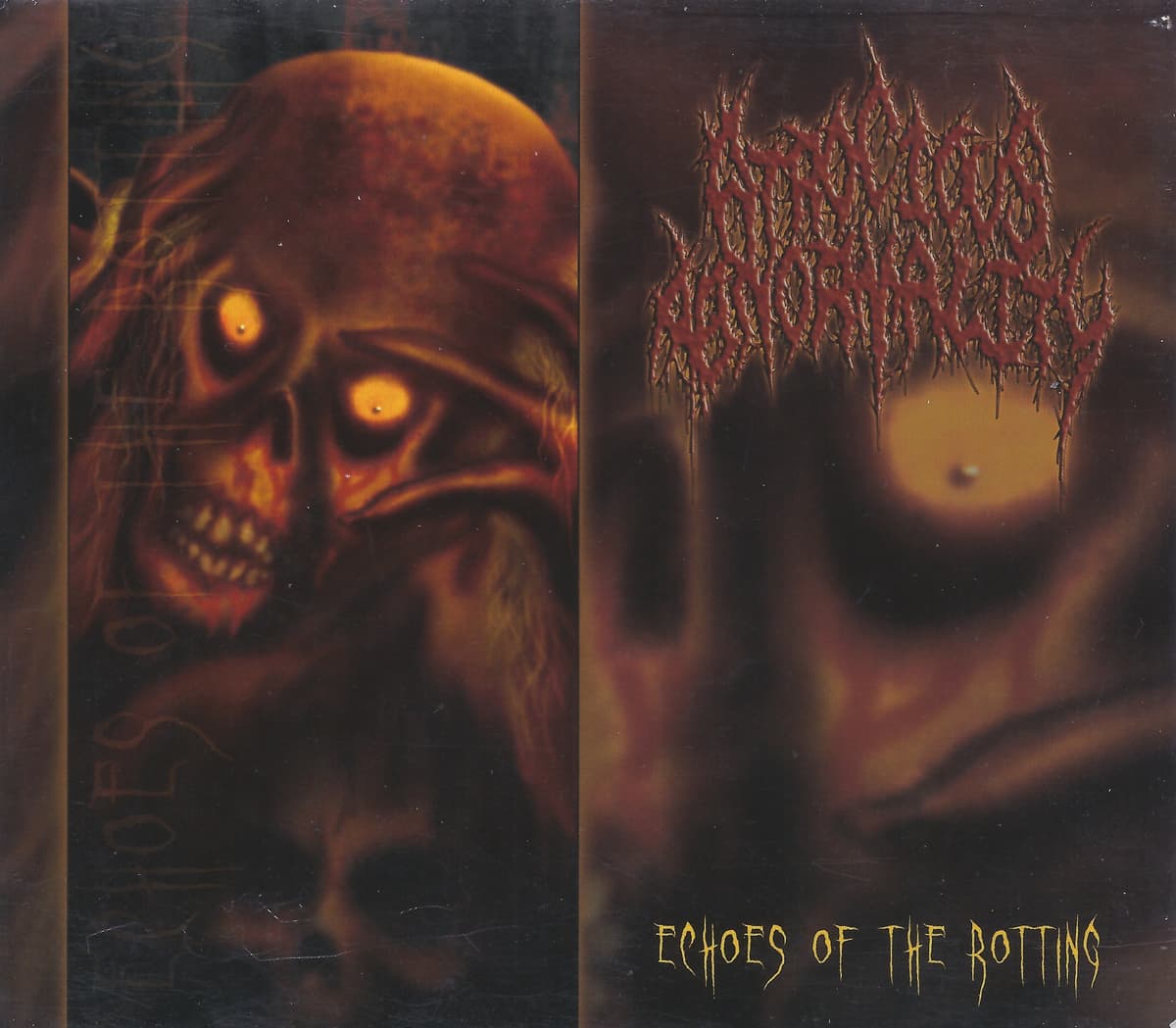 Echoes of the Rotting