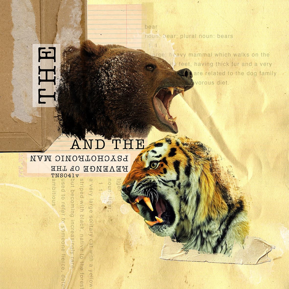 The Bear and the Tiger