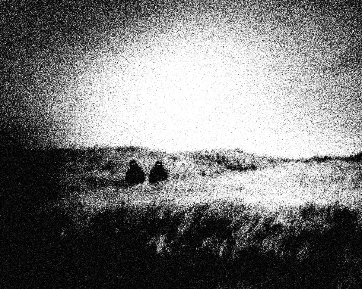 Head Void Tapes