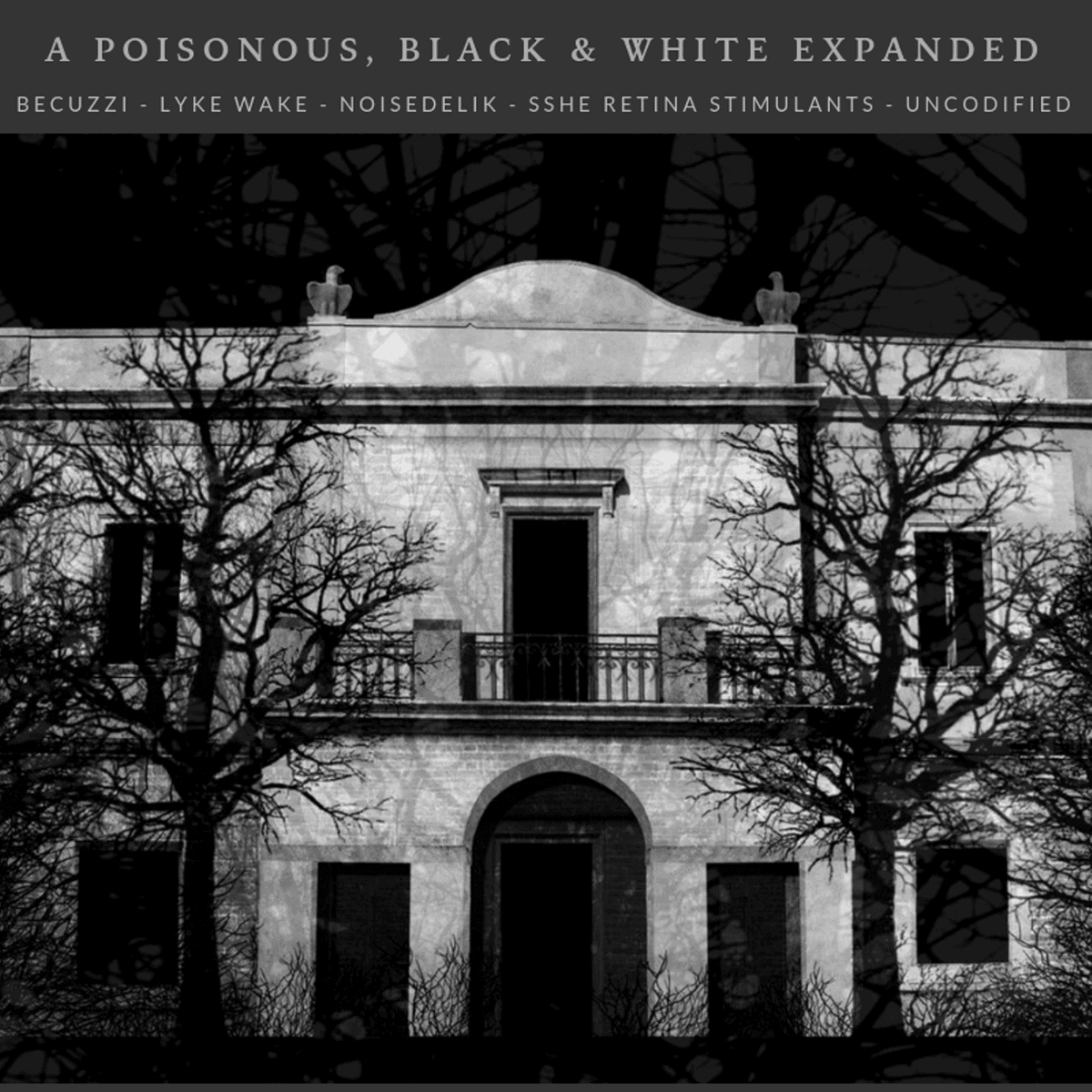 A Poisonous, Black & White Iridescence Across Dangerously Amorphous Urban Landscapes