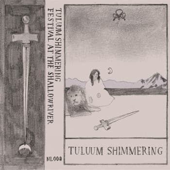Festival At The Shallow River