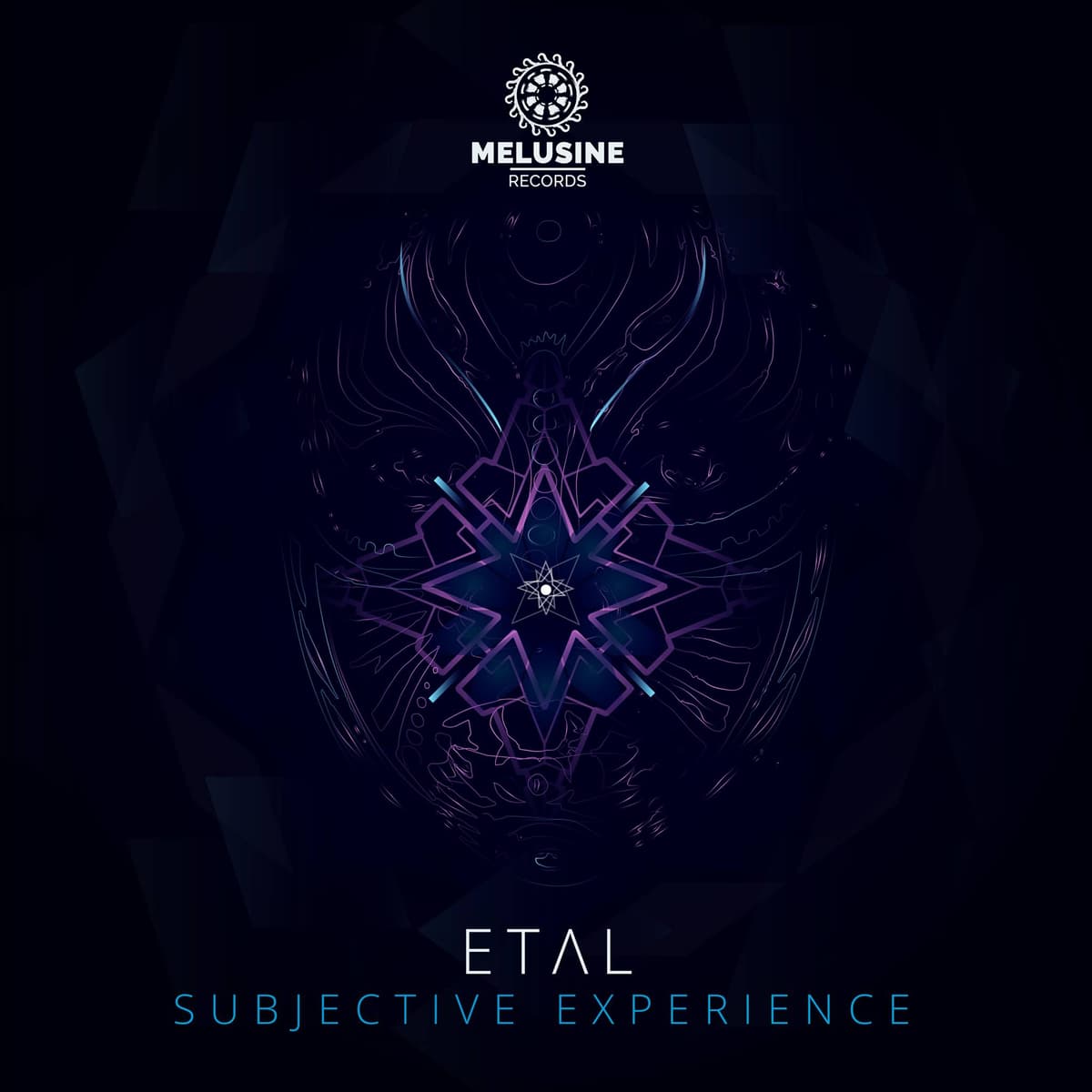 Subjective Experience