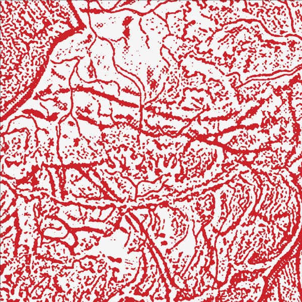 Materializing Defective Fascia