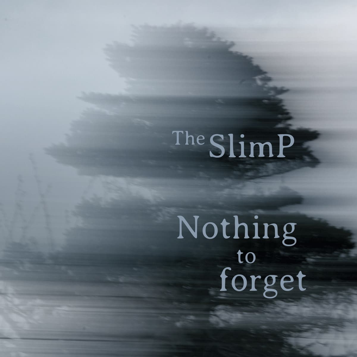 Nothing to Forget