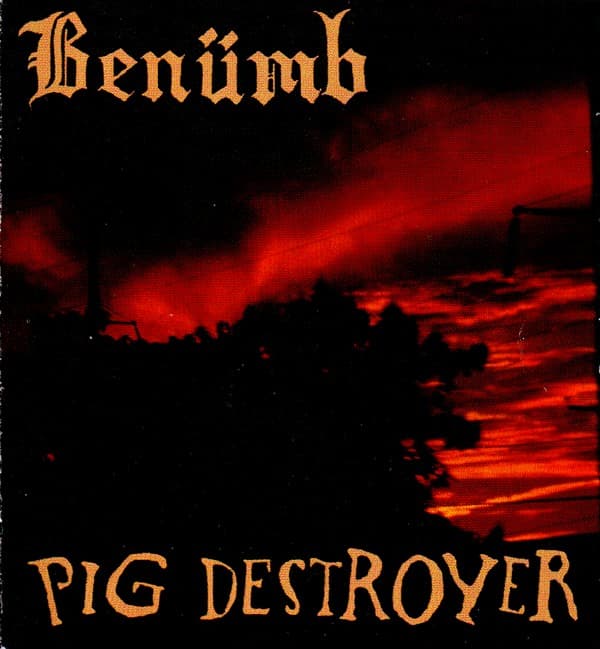 Benümb / Pig Destroyer