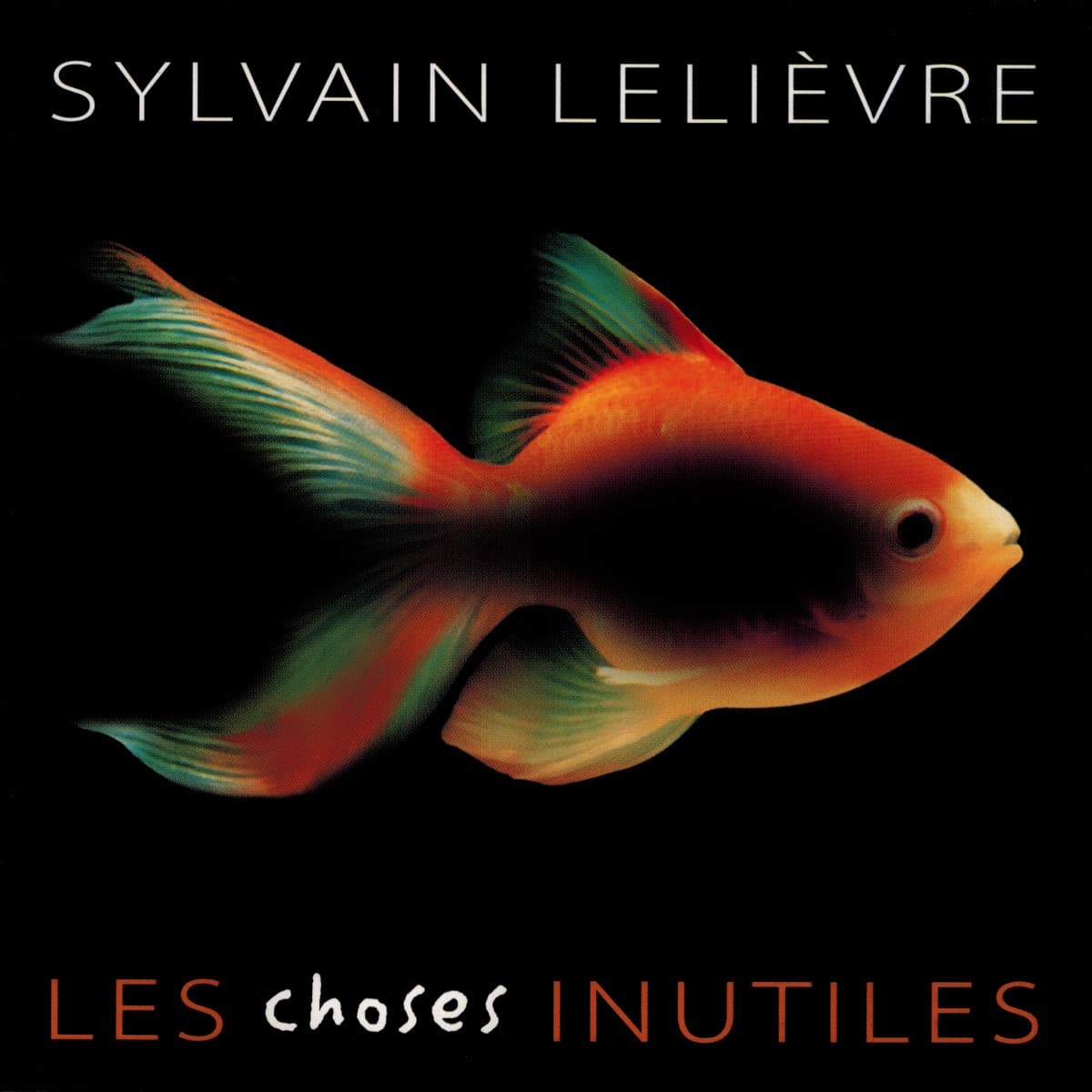 Les choses inutiles