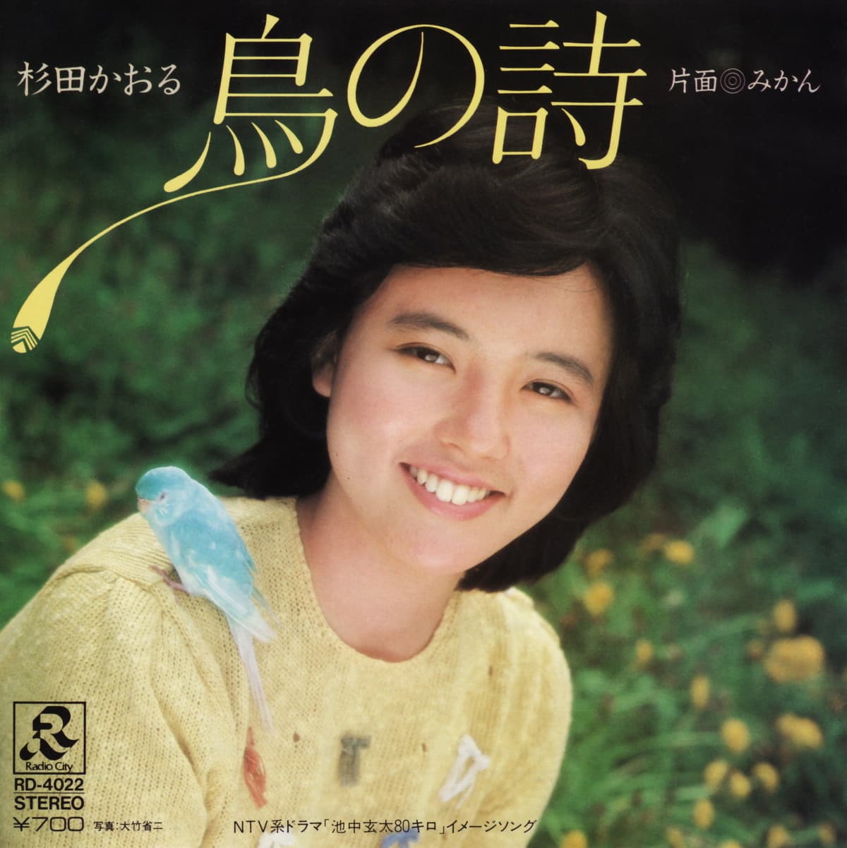 鳥の詩