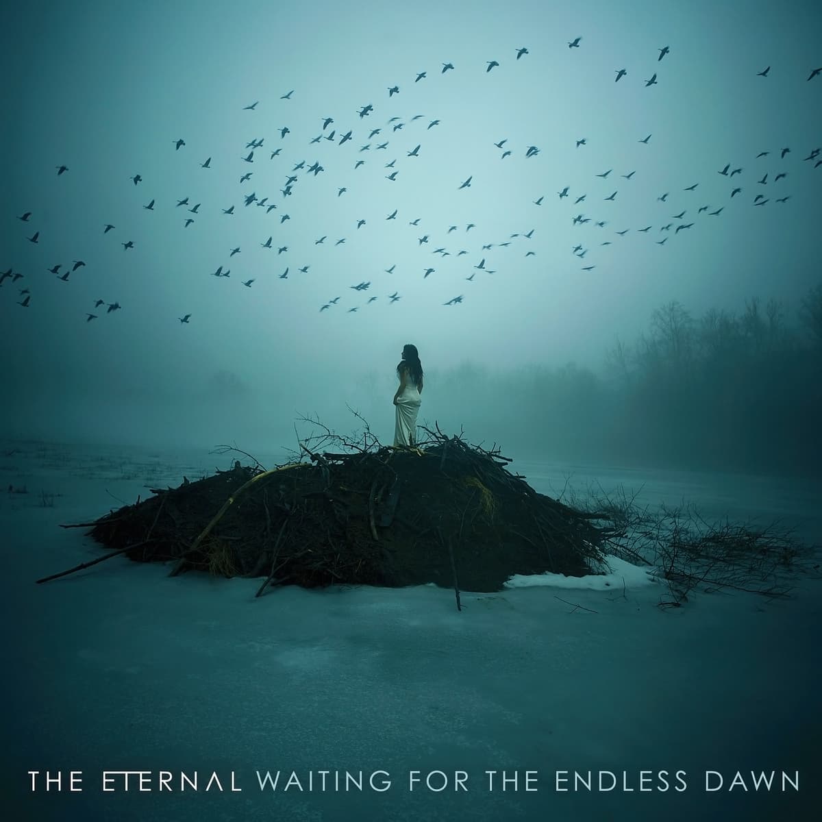 Waiting For The Endless Dawn