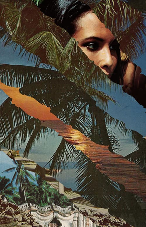 Vendetta in Paradise