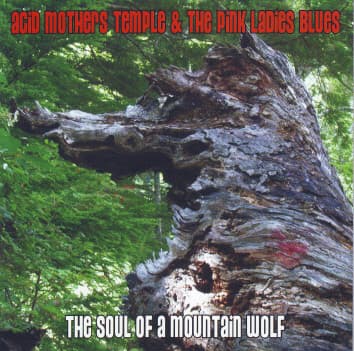 The Soul of a Mountain Wolf