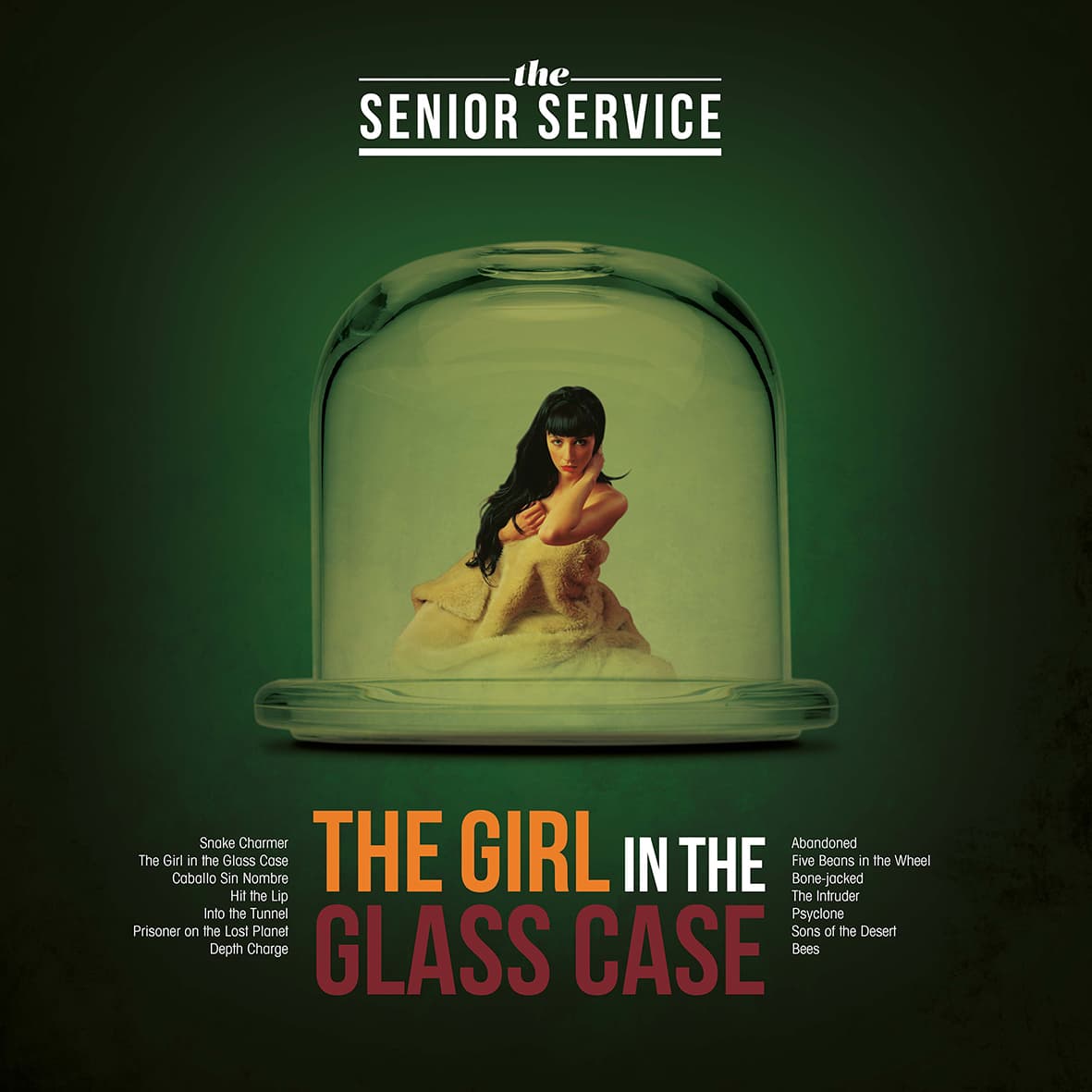 The Girl in the Glass Case