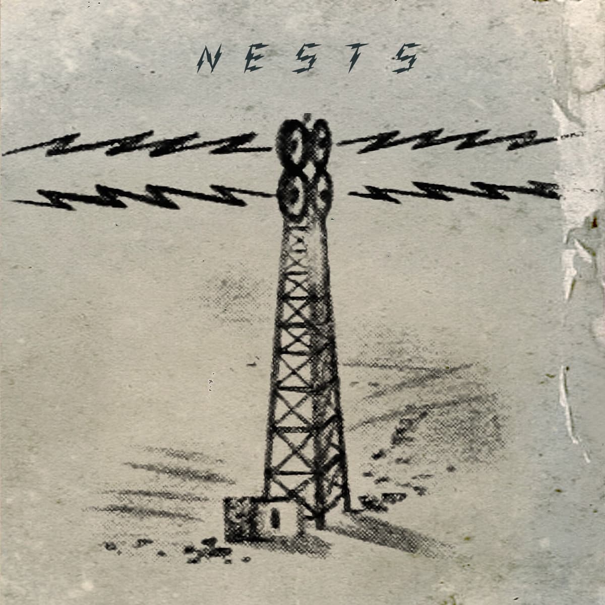 Nests
