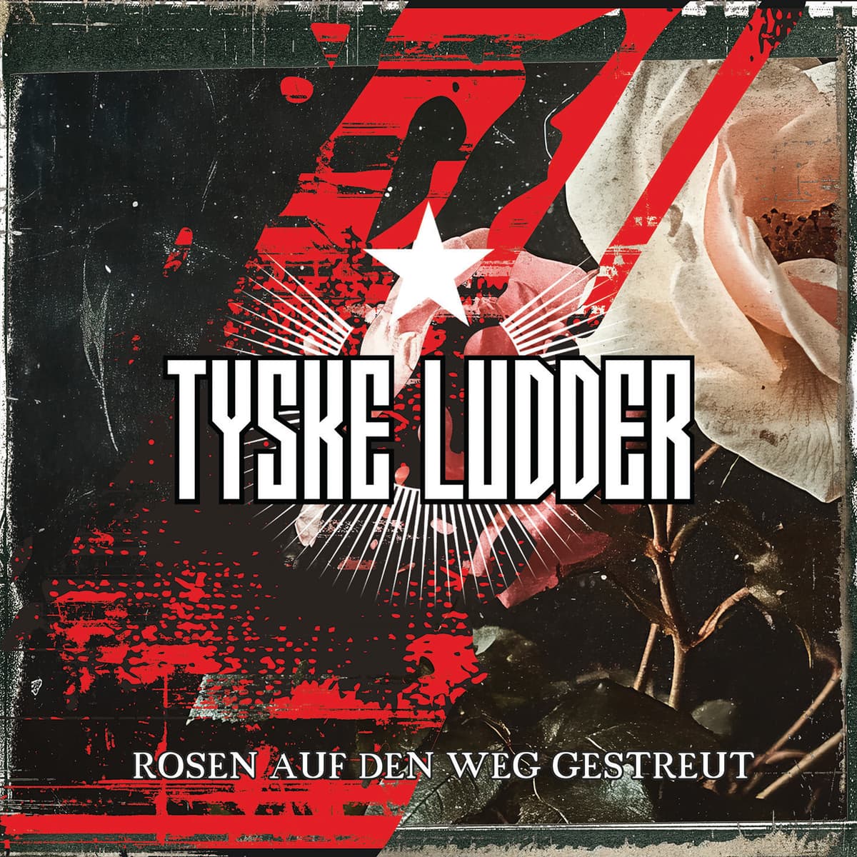 Rosen auf den Weg gestreut