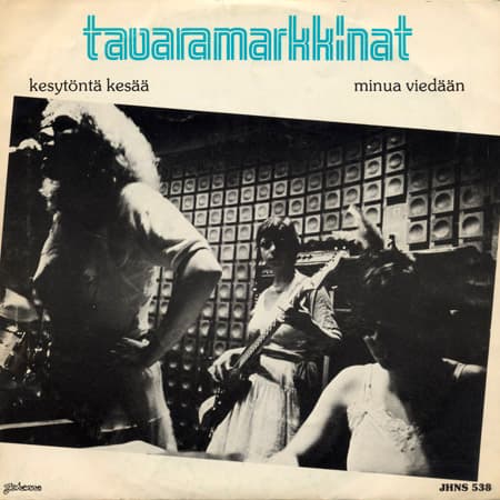 Kesytöntä kesää
