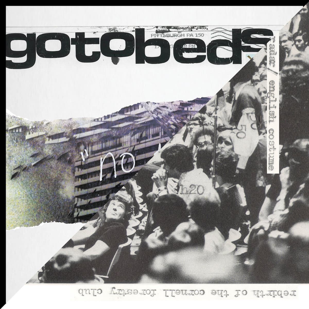 Honey Radar / The Gotobeds Split