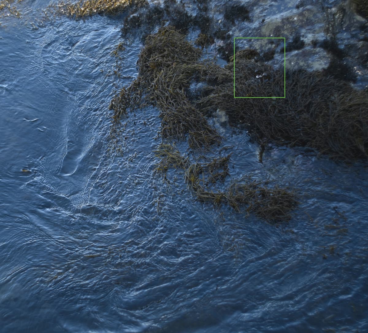Wovenland 3