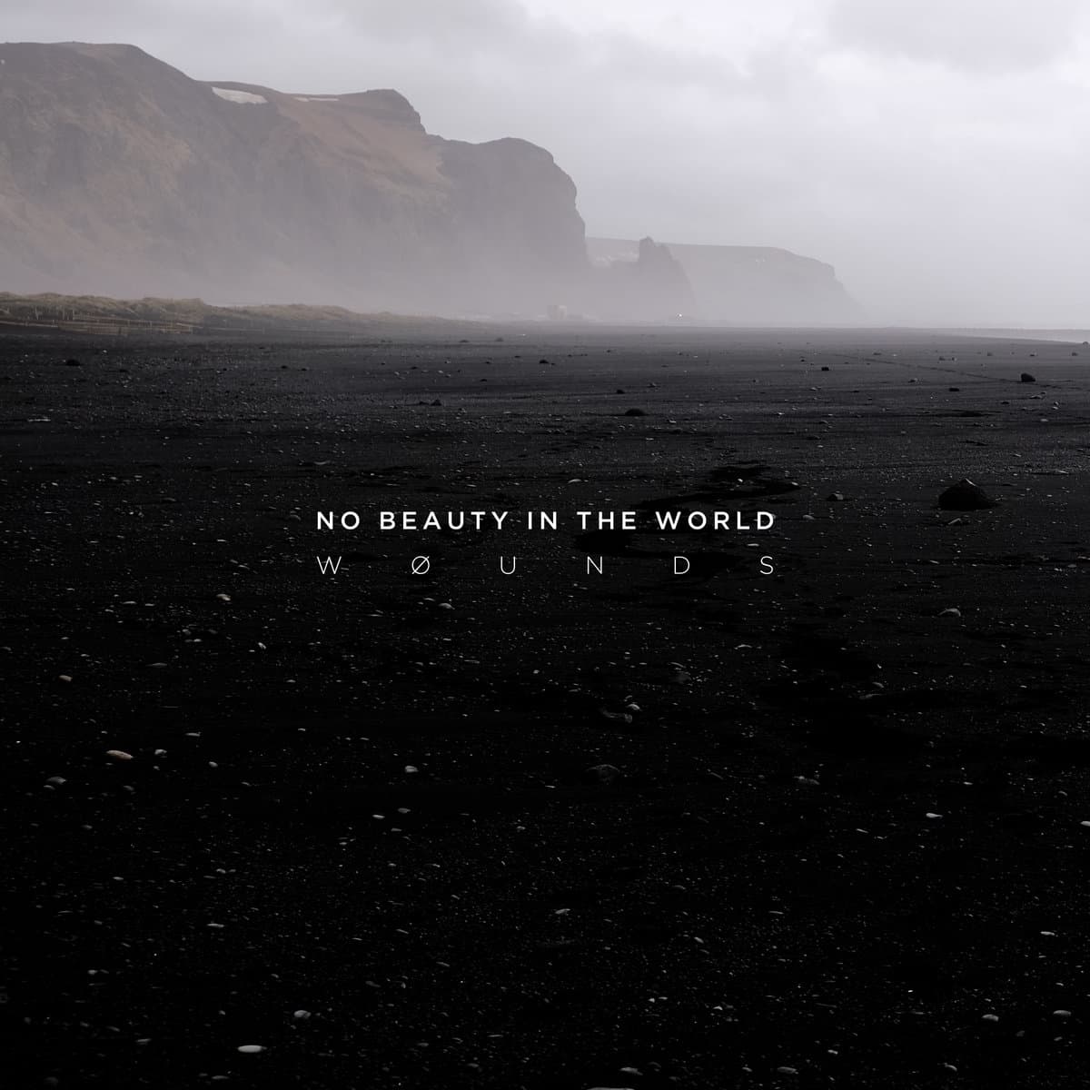 No Beauty In The World
