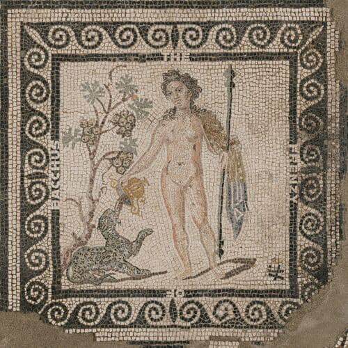 The Frenzy of Bacchus