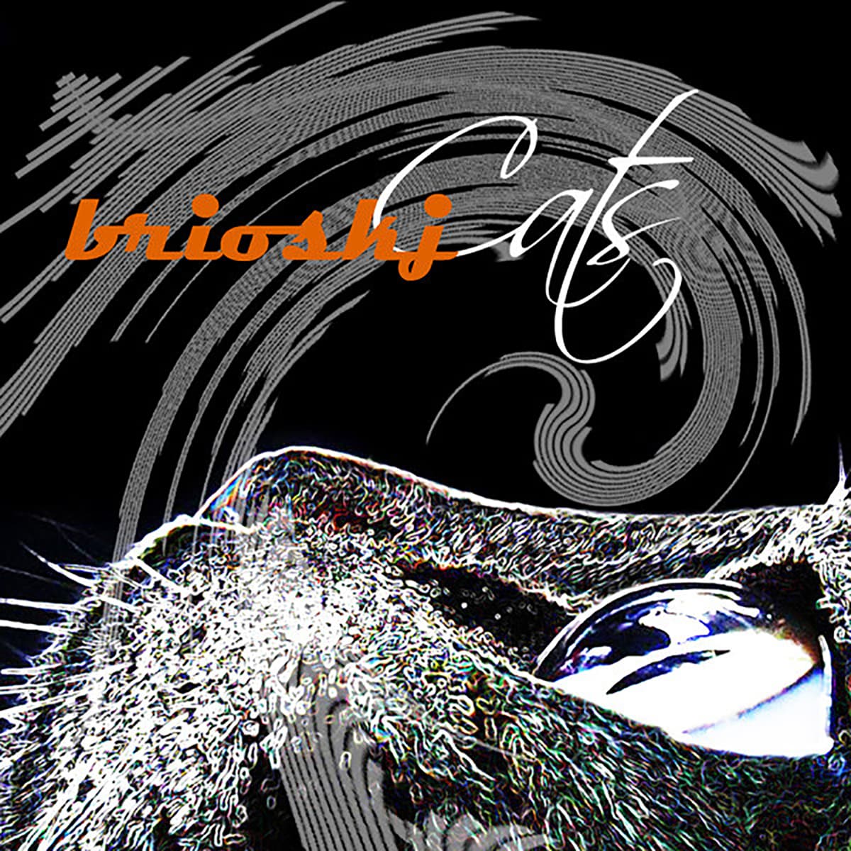 Cats (remastered)