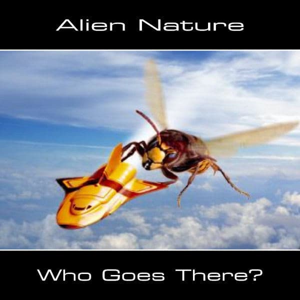 Who Goes There?