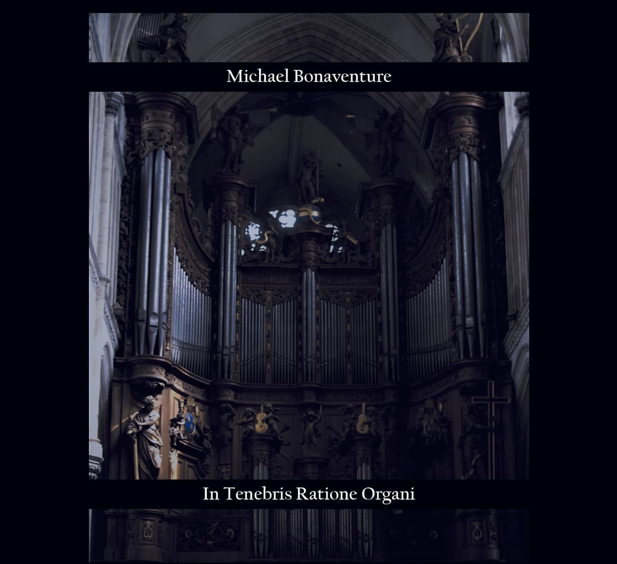 In tenebris ratione organi