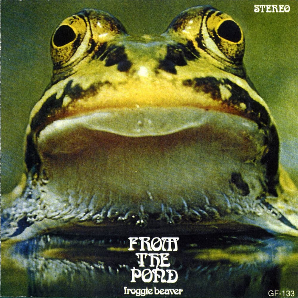 From the Pond
