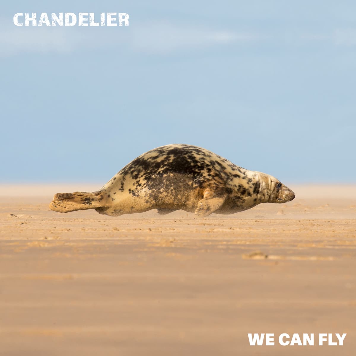 We Can Fly