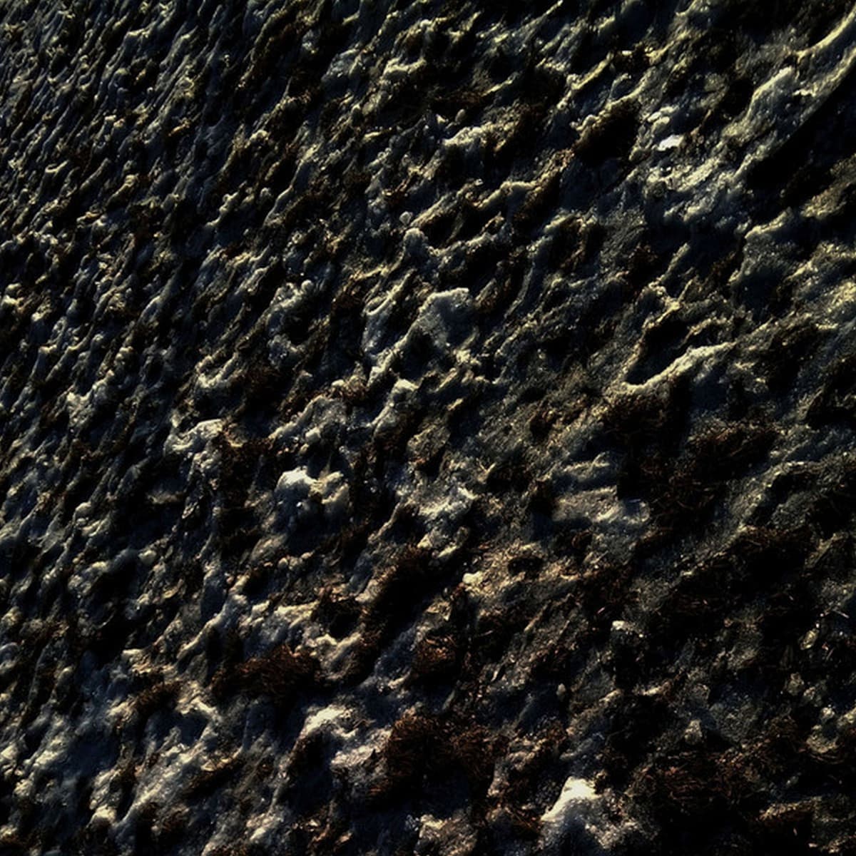 These Inexhaustible Fields of Vacancy