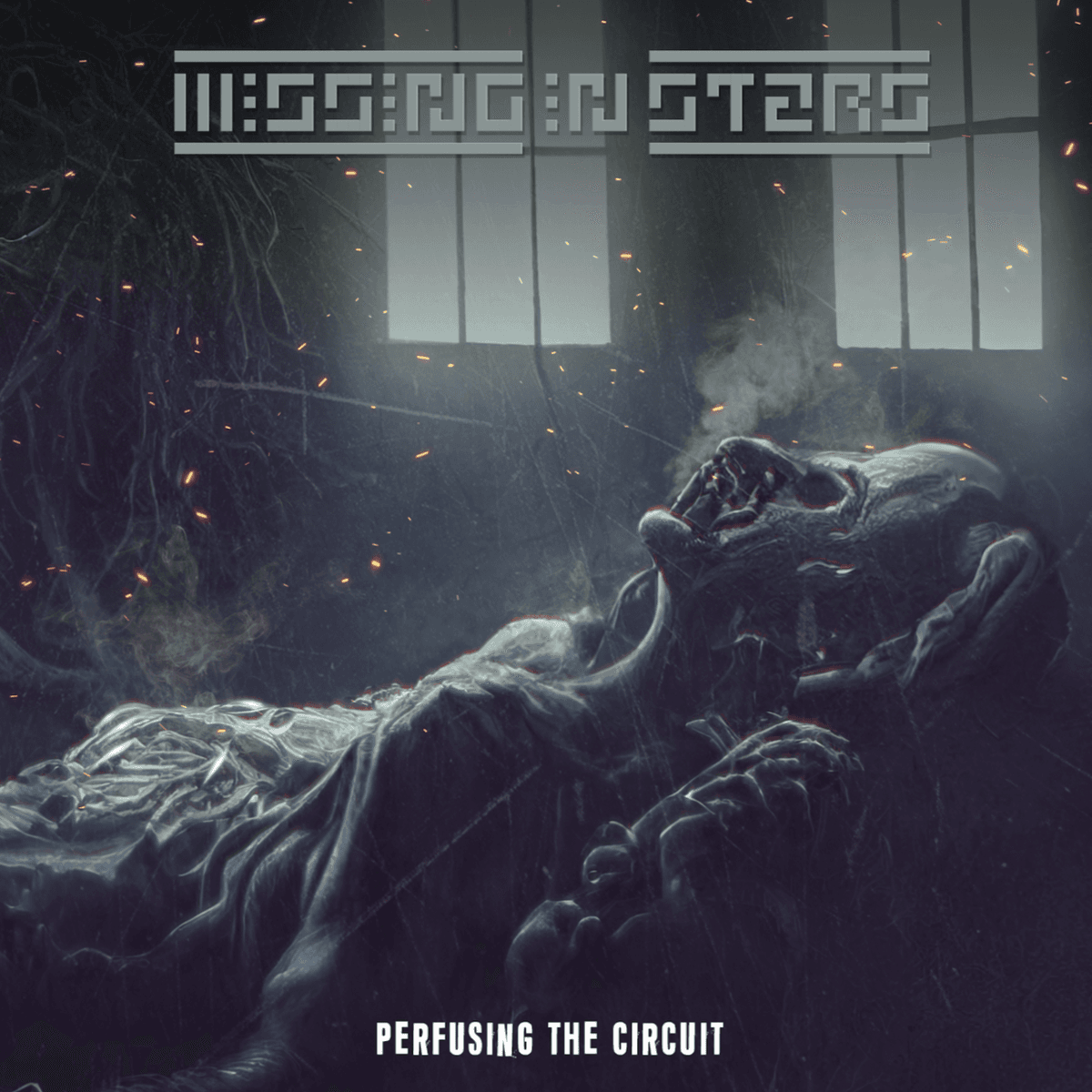 Perfusing the Circuit