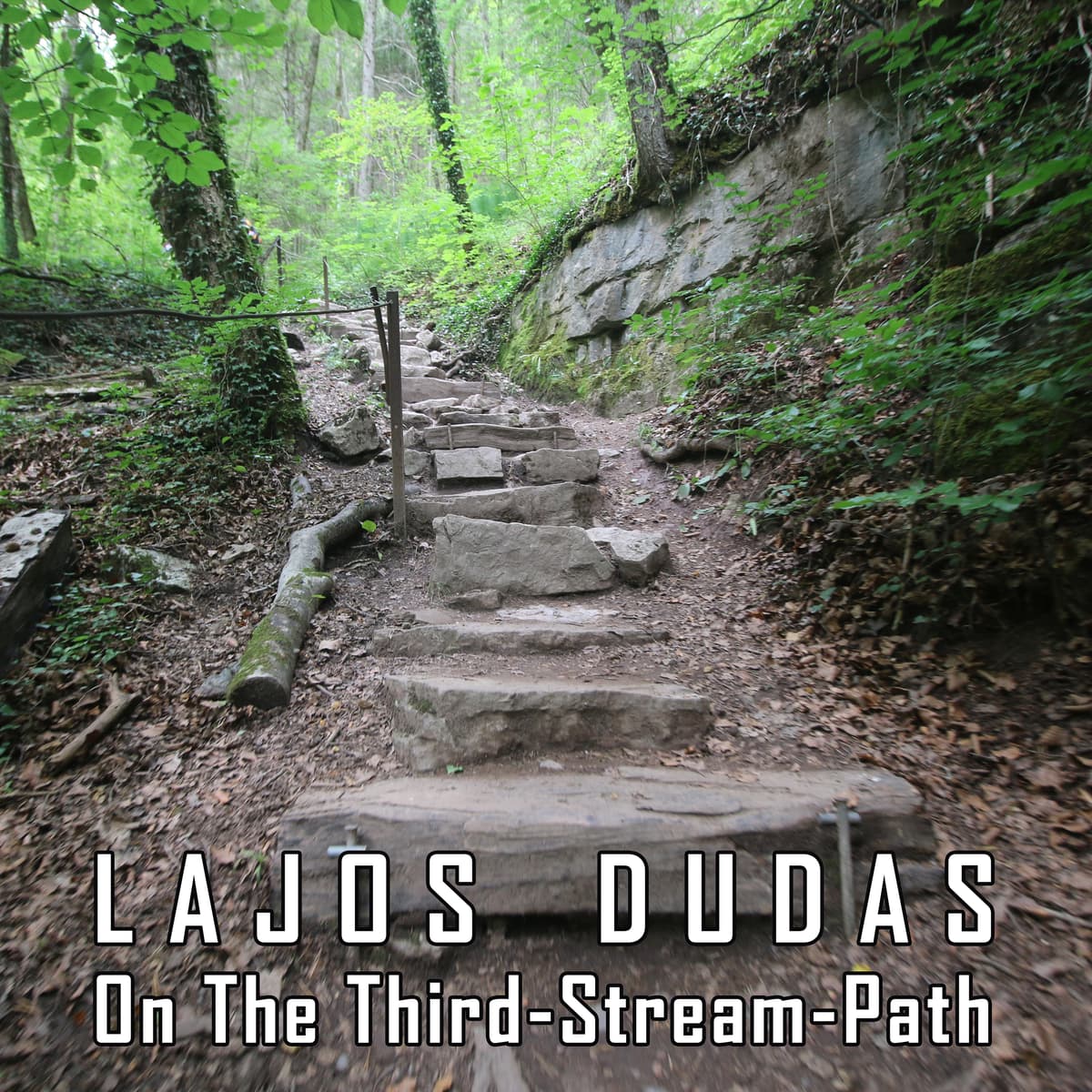 On the Third-Stream-Path
