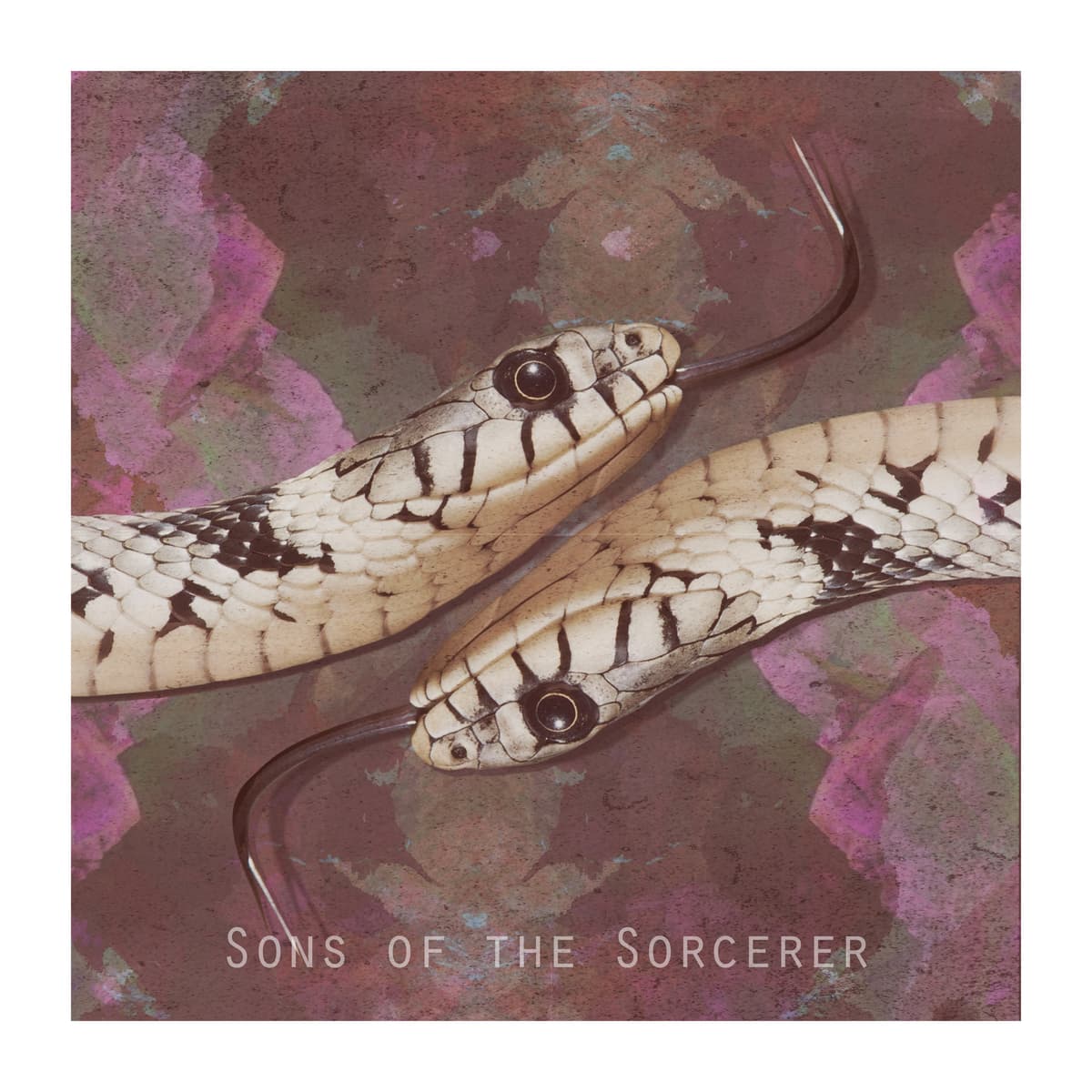 Sons of the Sorcerer