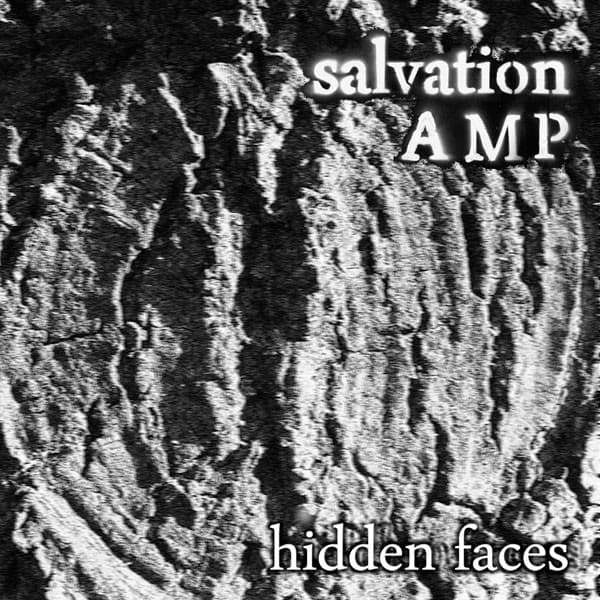 Hidden Faces
