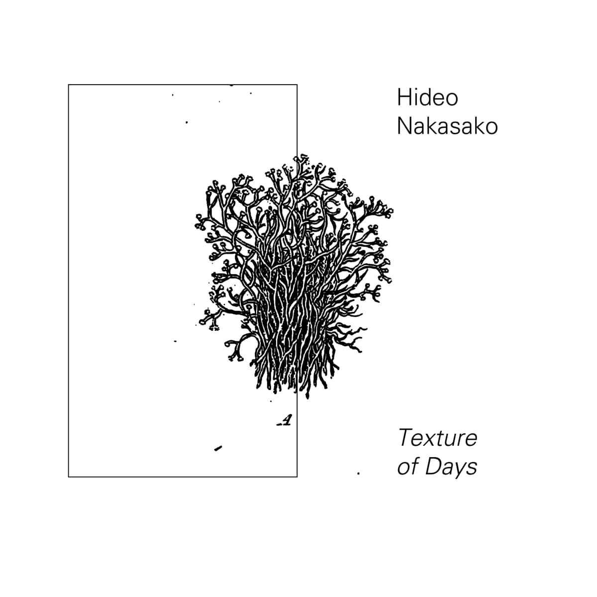 Texture of Days