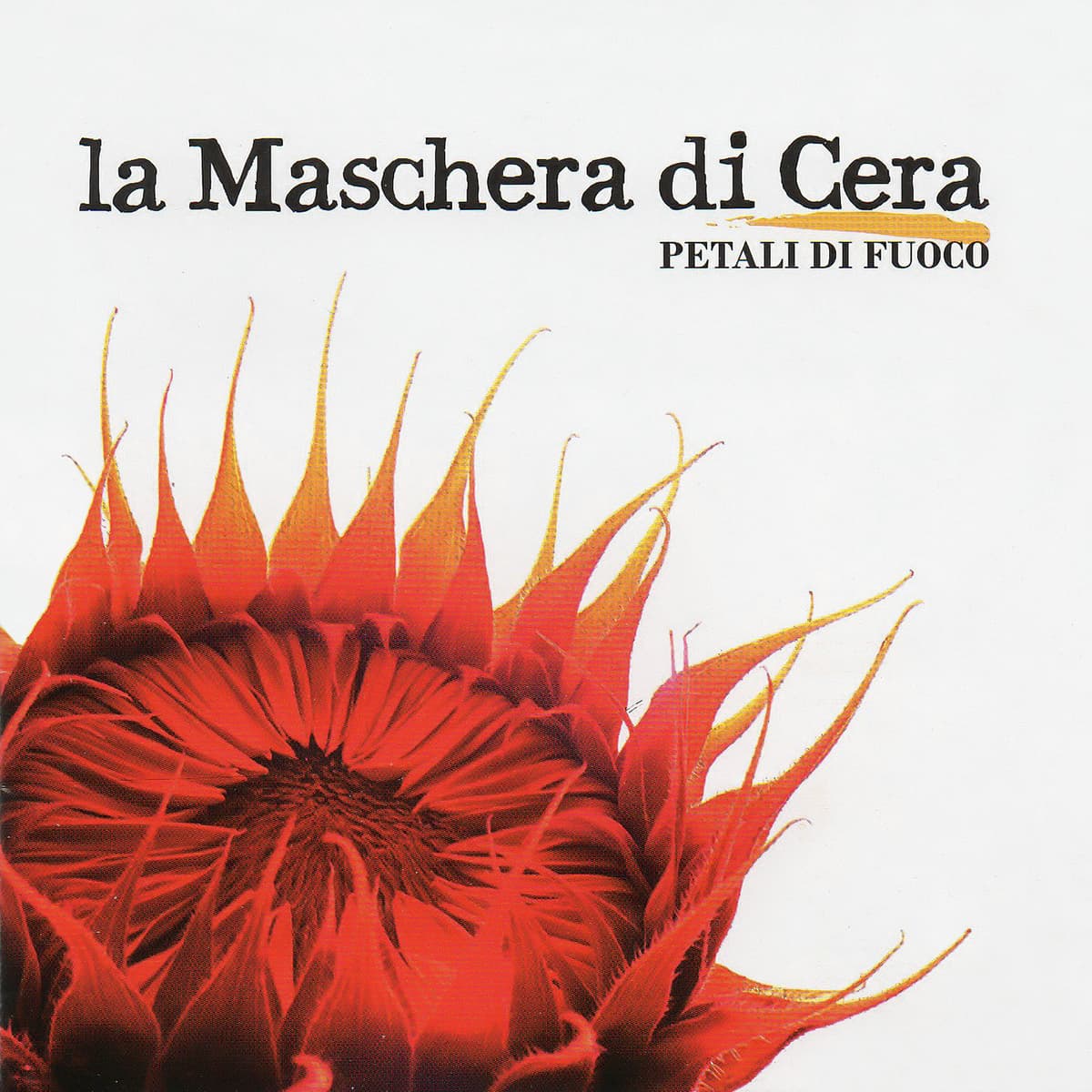 Petali di fuoco